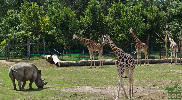 Veszprm Zoo